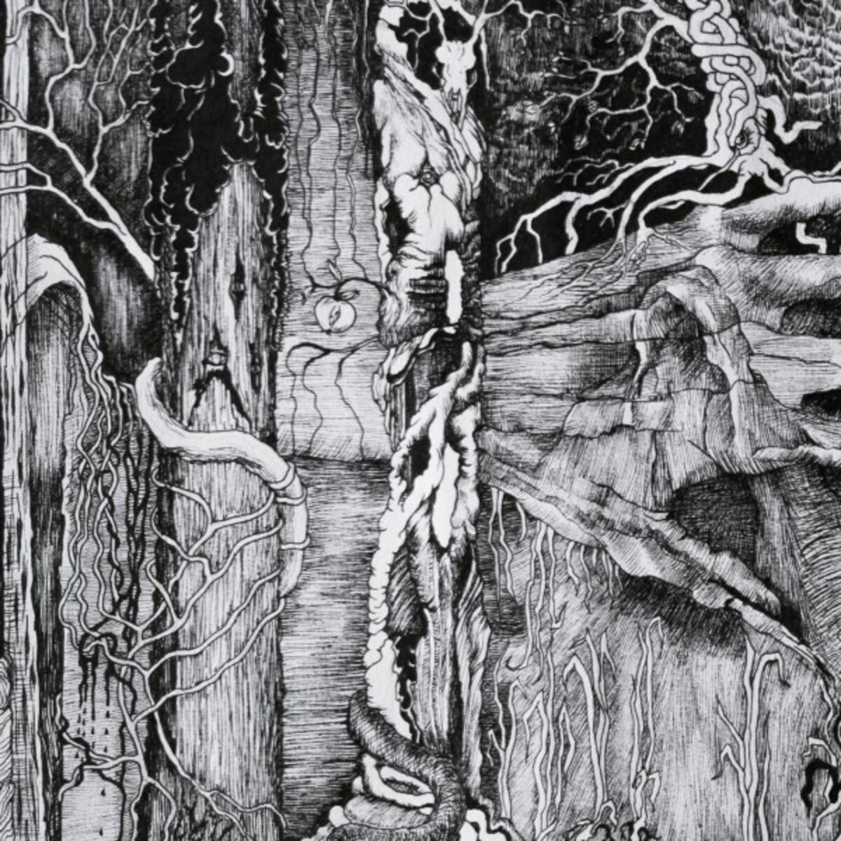 Album cover of The Lost Dream