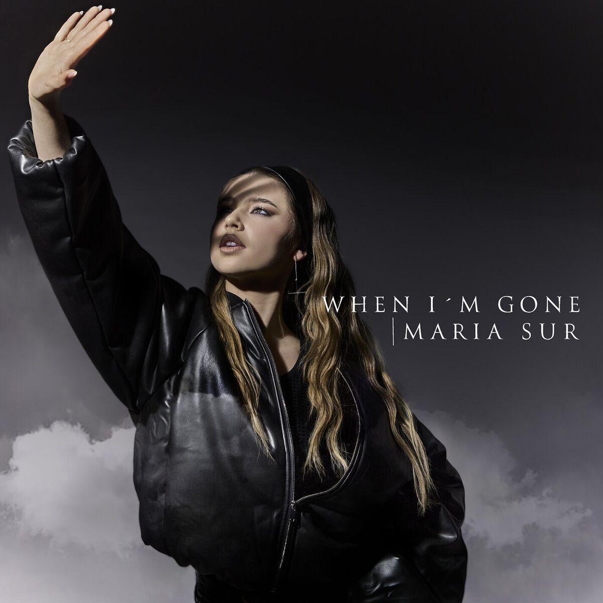 Album cover of When I'm Gone