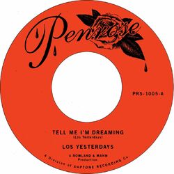 Cover of Tell Me I'm Dreaming