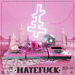 Cover of HATEFUCK