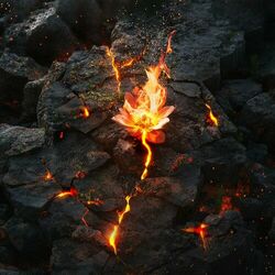 Cover of Stone