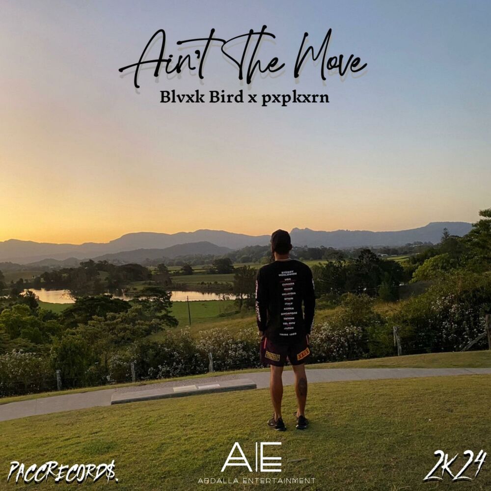 Picture of Ain't The Move