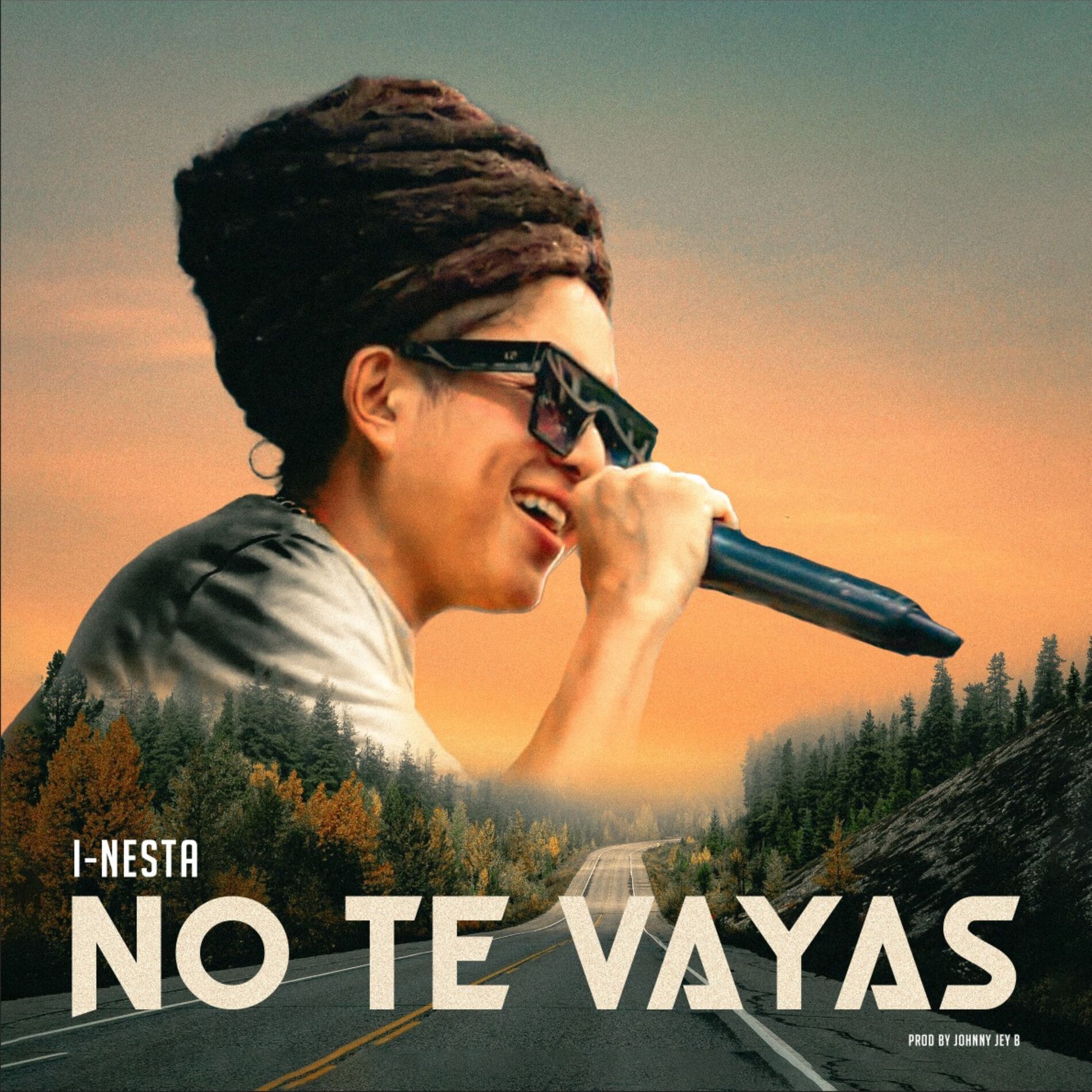 Album cover of No te vayas