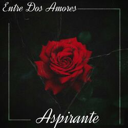 Cover of Entre Dos Amores