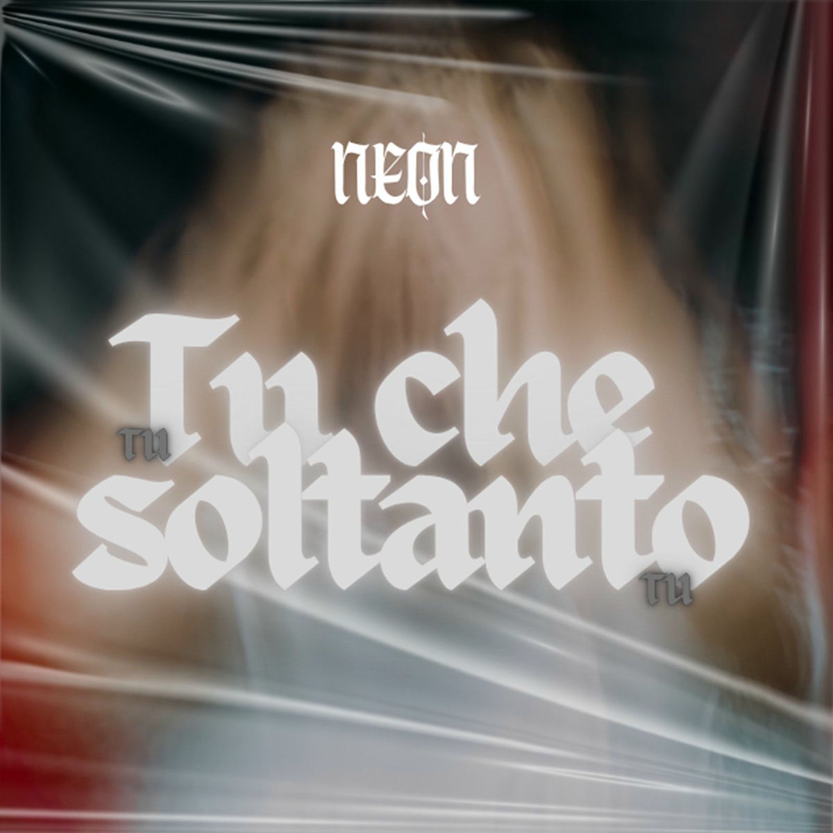 Album cover of Tu che soltanto tu