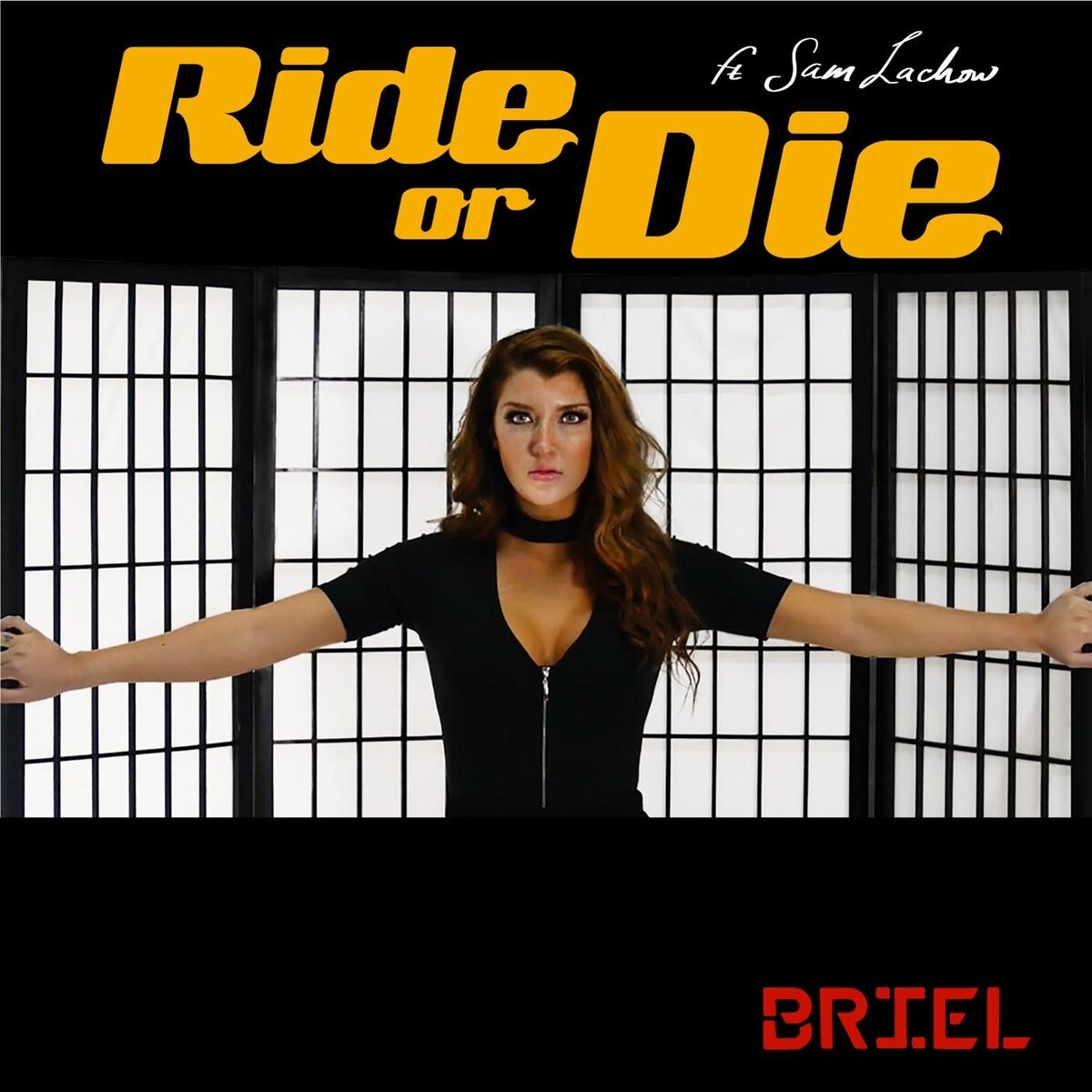 Album cover of Ride or Die