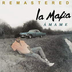 Cover of Ámame (Remastered)