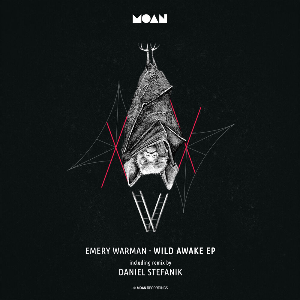 Picture of Wild Awake EP