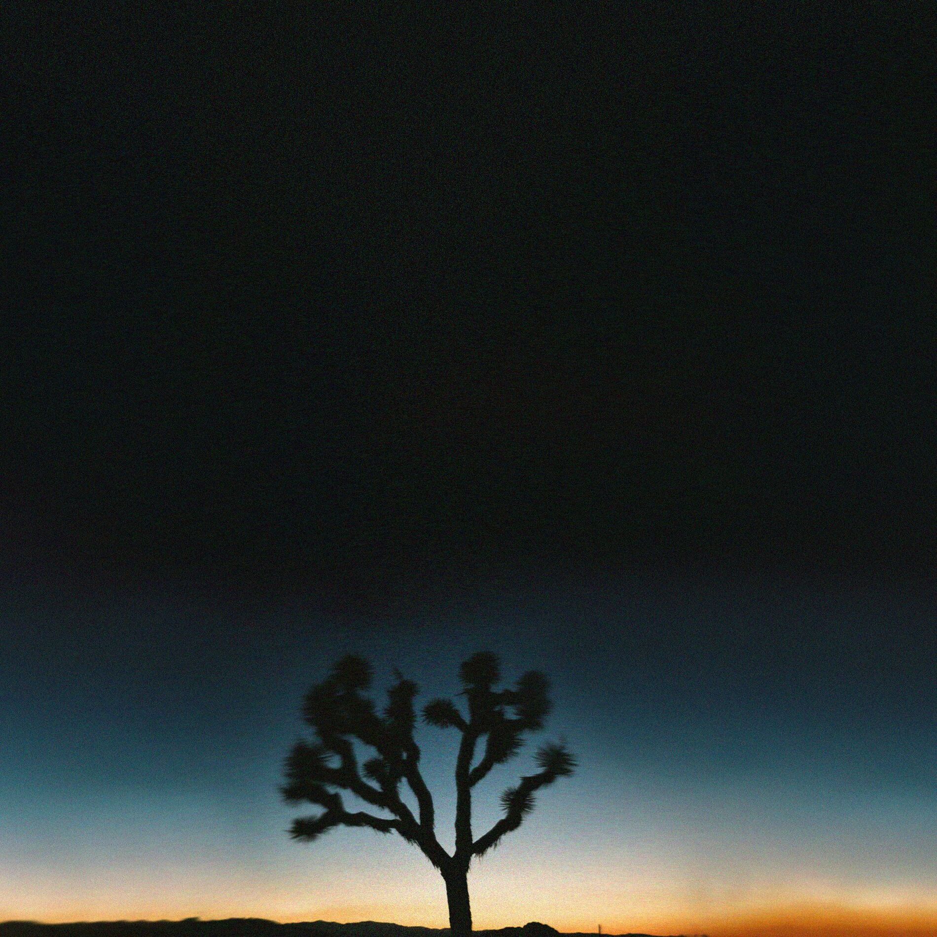 Album cover of Take It to the Limit