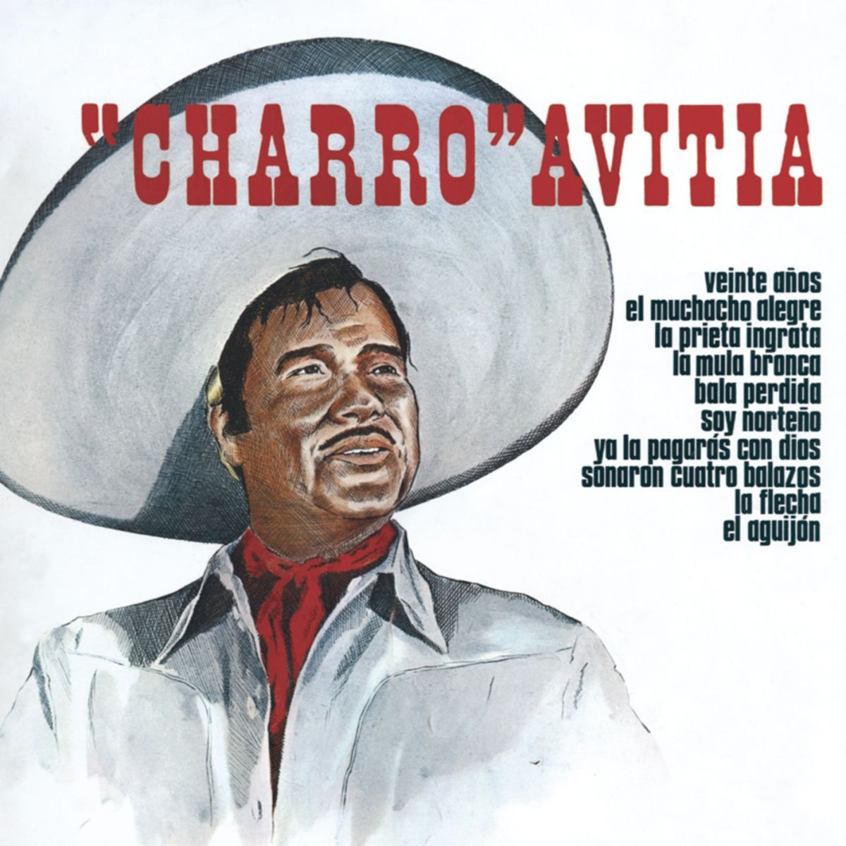 Album cover of Veinte Años