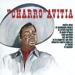 Cover of Veinte Años