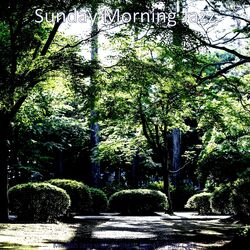 Cover of Modish Jazz with Strings - Bgm for Self Care