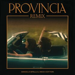 Cover of Provincia (Remix)