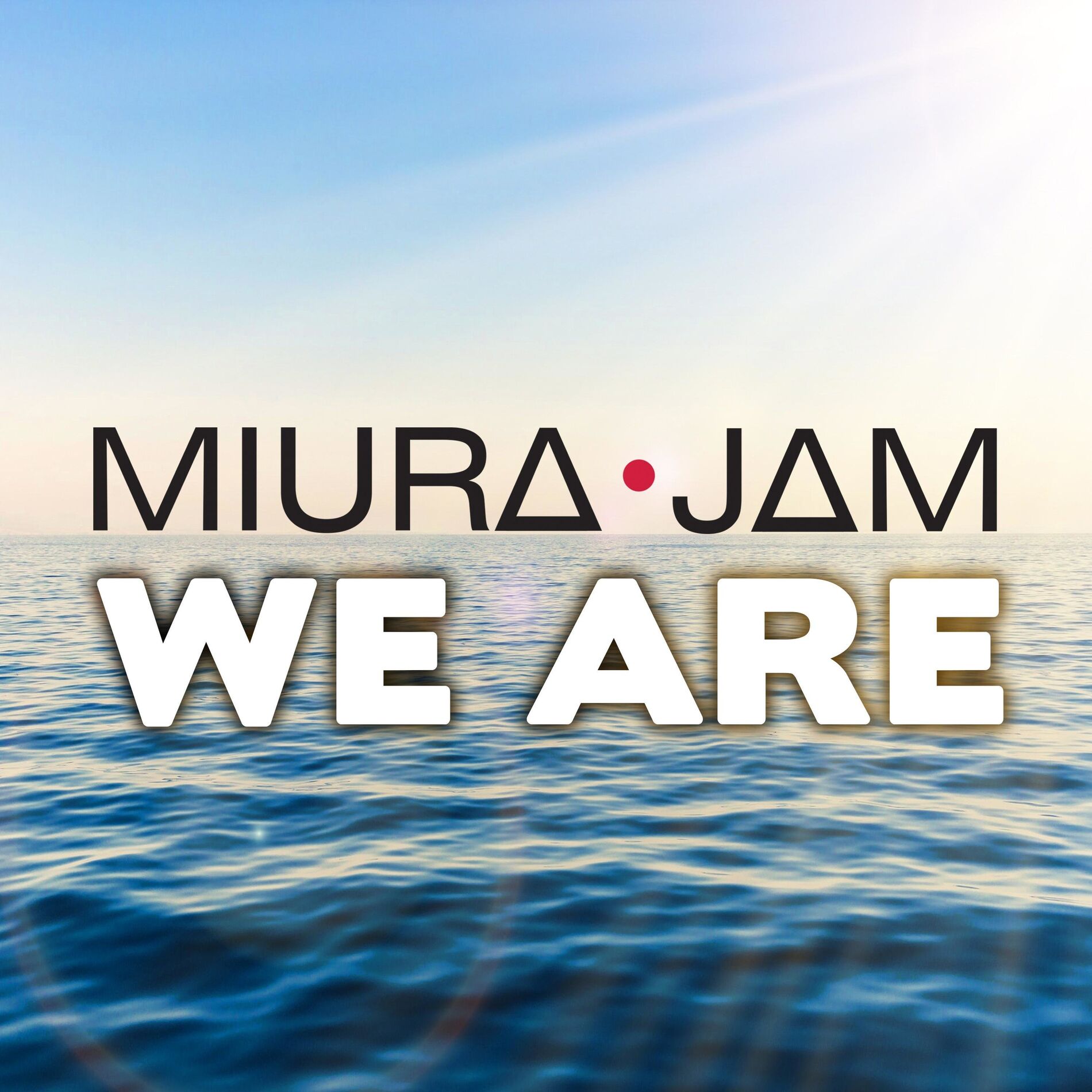 Album cover of We Are (One Piece)