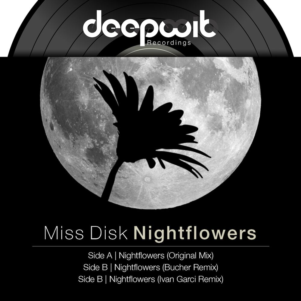 Picture of Nightflowers