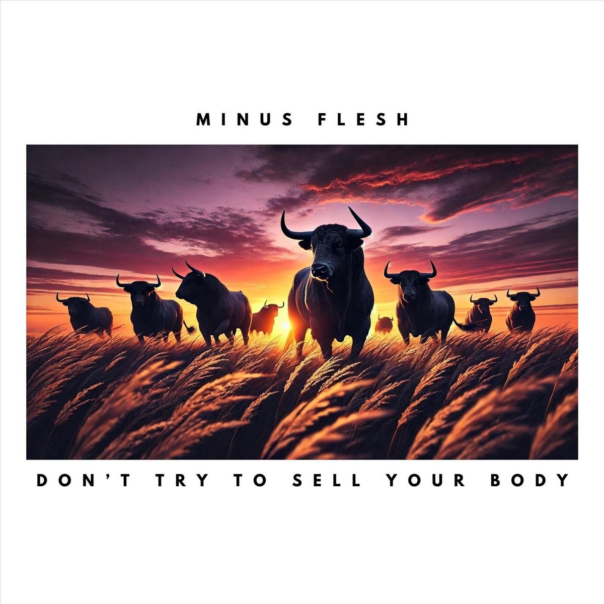 Album cover of Don't Try To Sell Your Body