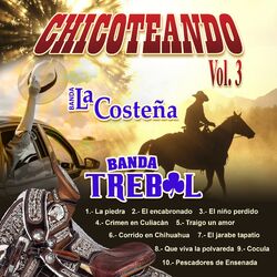 Cover of Chicoteando, Vol. 3