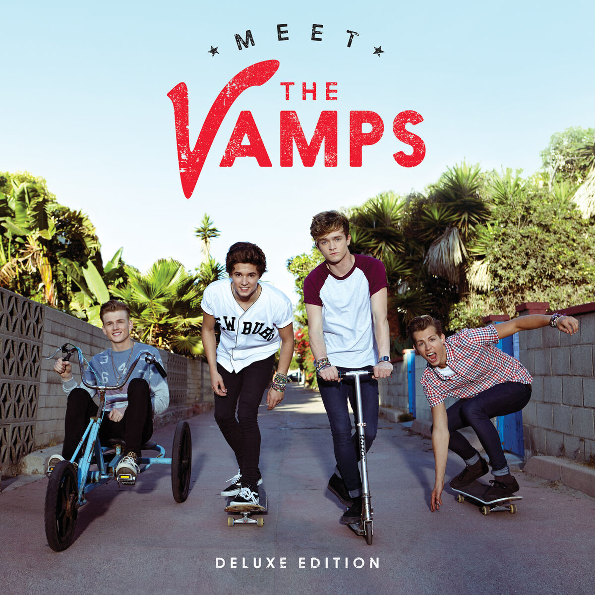 Album cover of Wild Heart