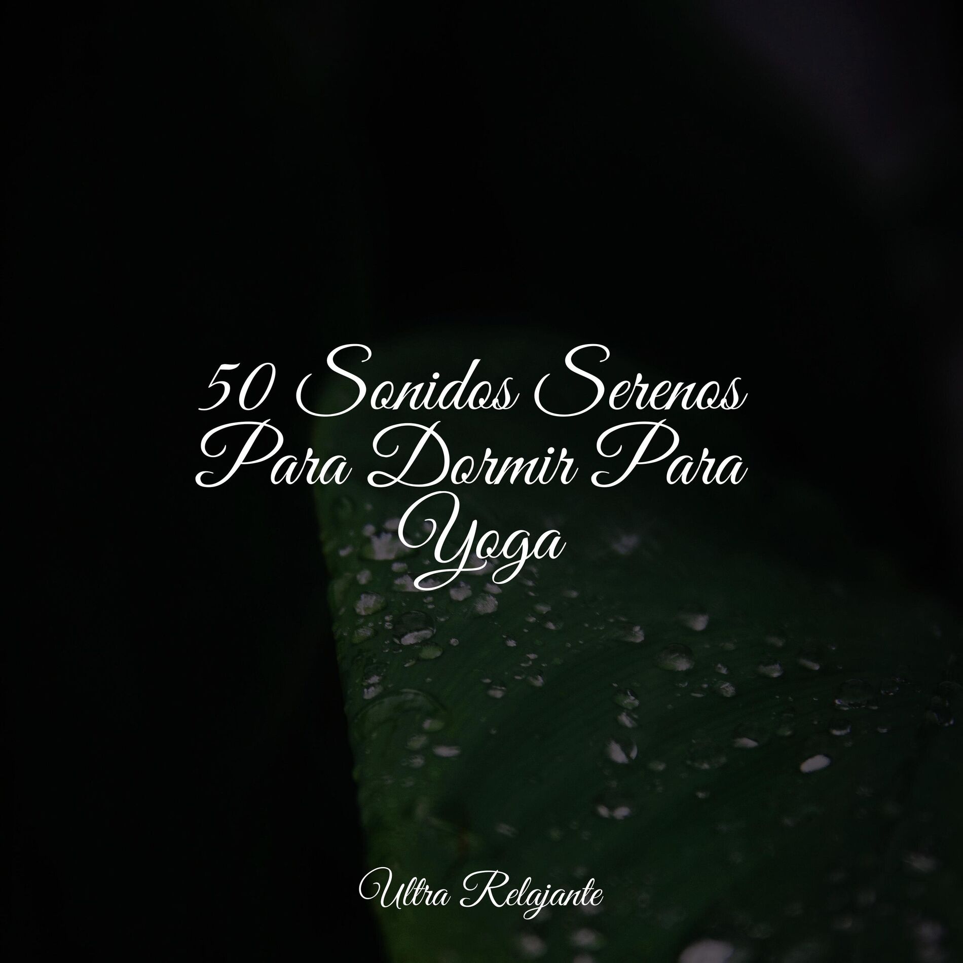 Album cover of 50 Sonidos Serenos Para Dormir Para Yoga