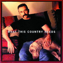 Cover of What This Country Needs