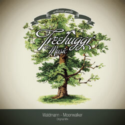 Cover of Moonwalker
