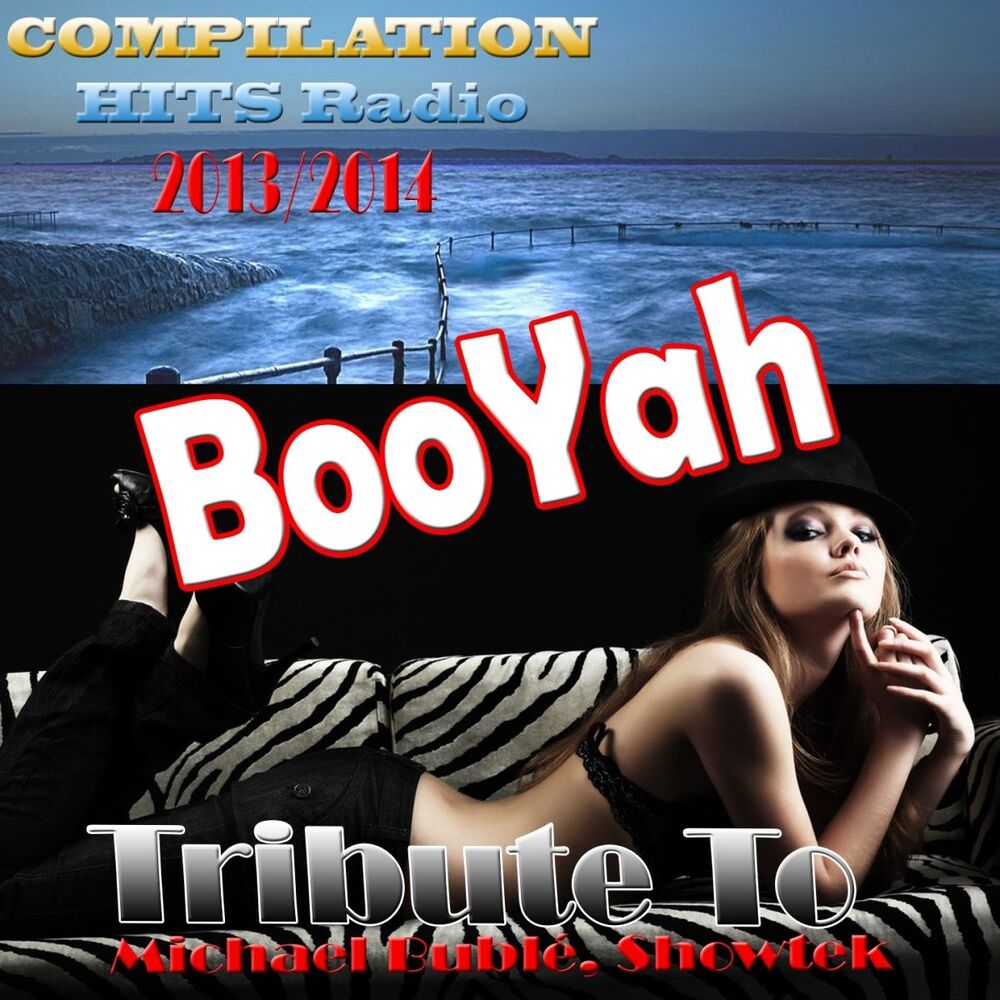 Picture of Booyah: Tribute to Michael Bublé, Showtek