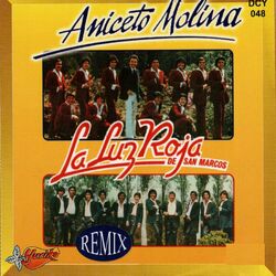 Cover of Remix
