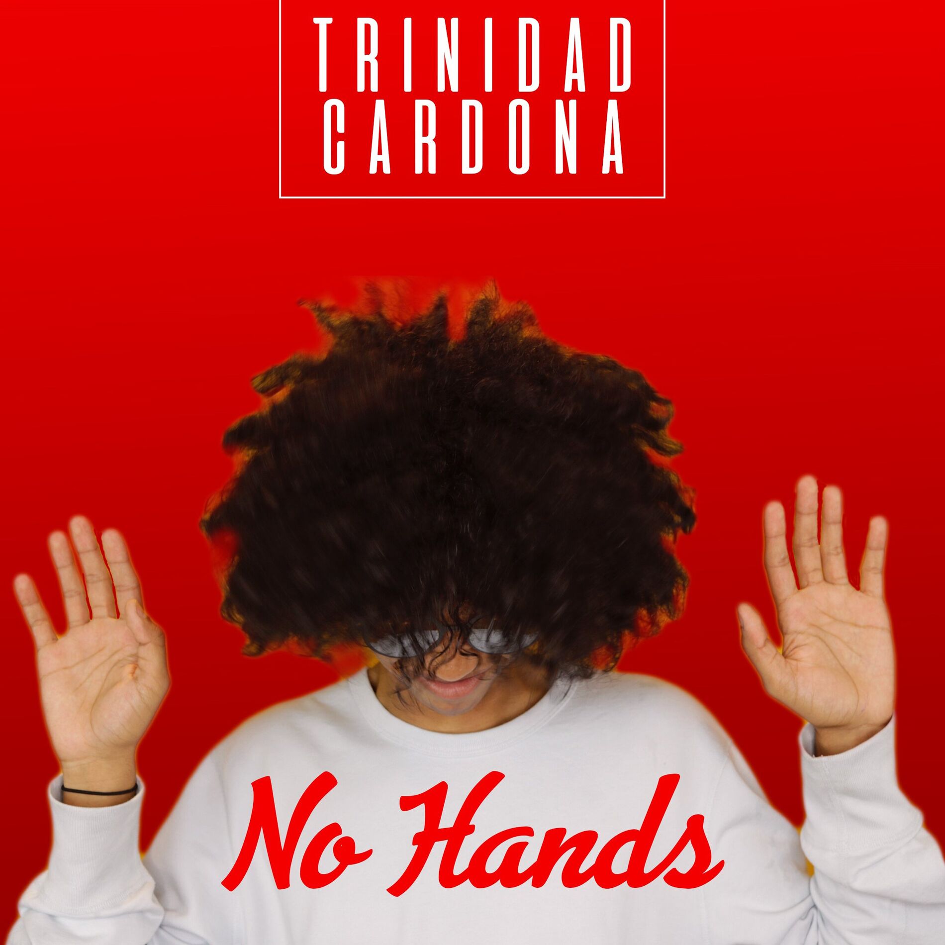 Album cover of No Hands