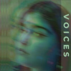 Cover of Voices