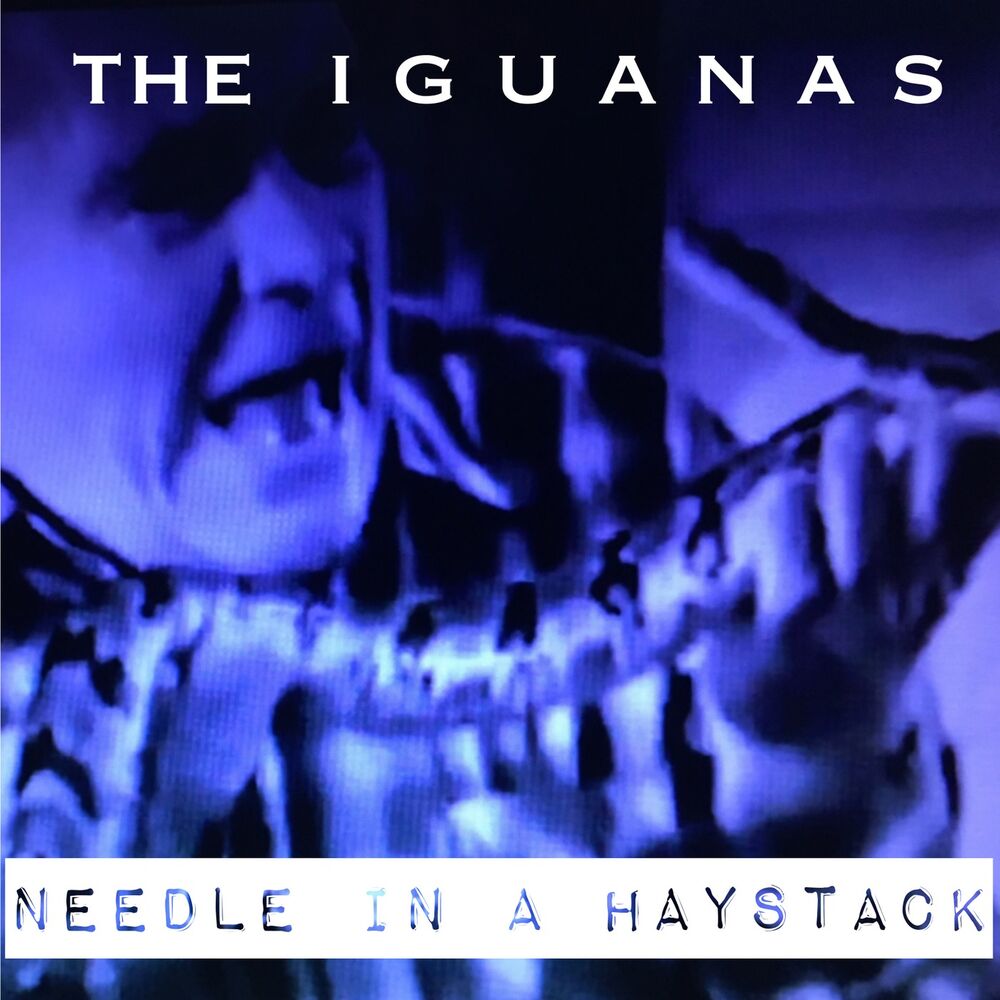 Picture of Needle in a Haystack