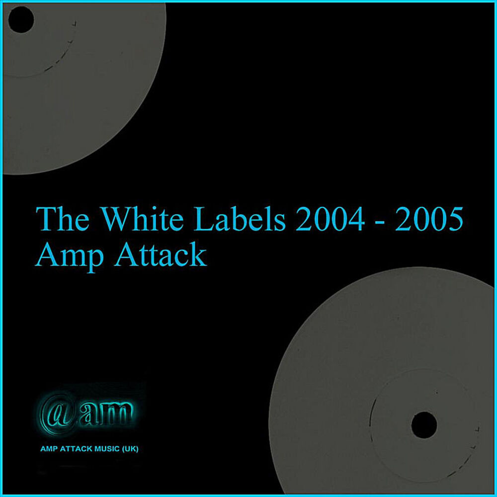 Picture of The White Labels 2004 - 2005