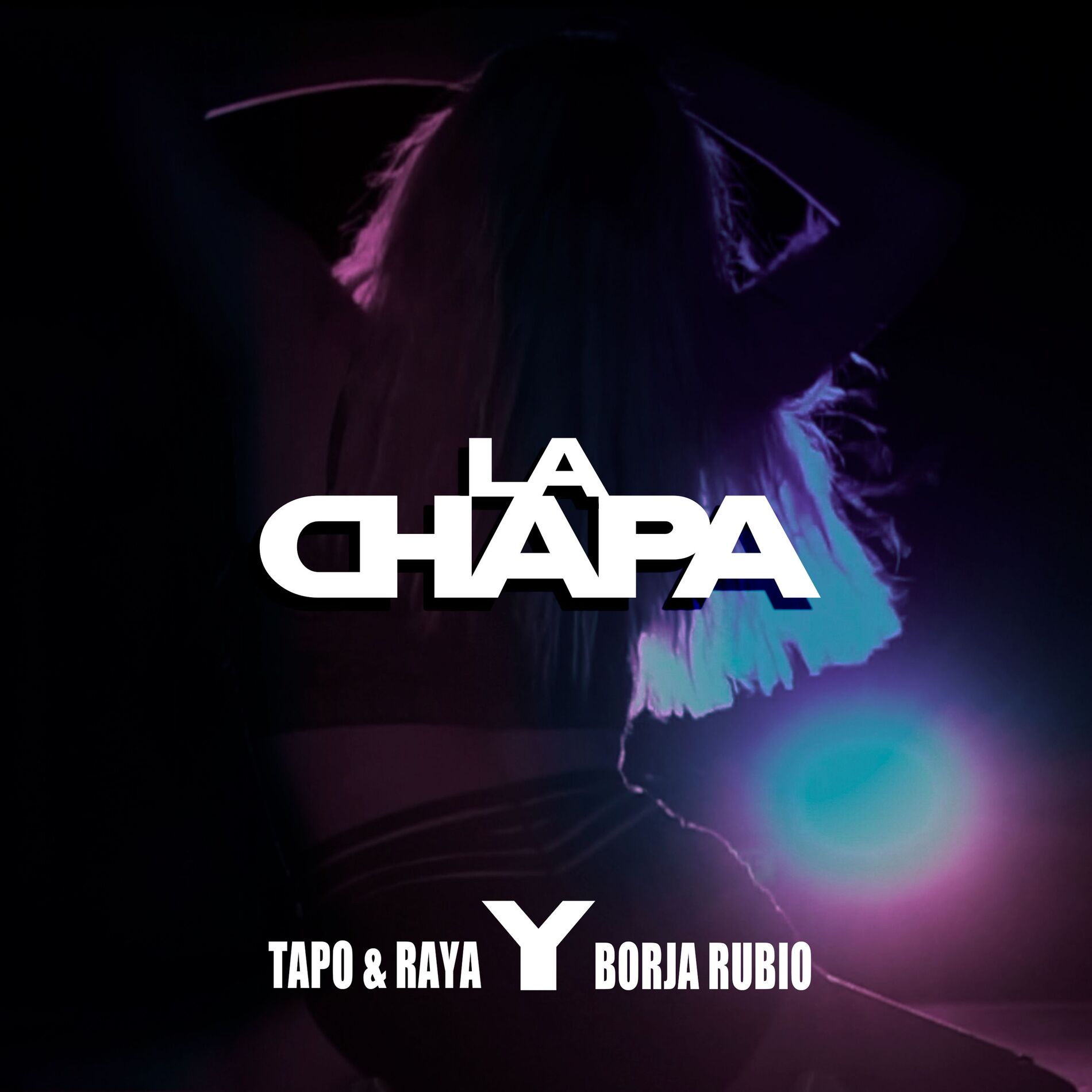 Album cover of La Chapa