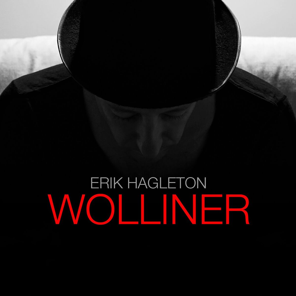 Album cover of Wolliner