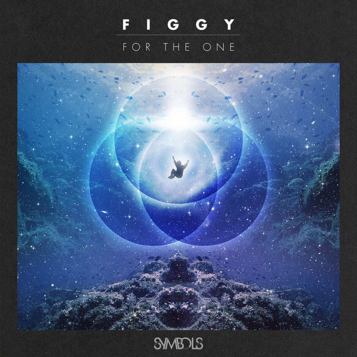 Album cover of For the One