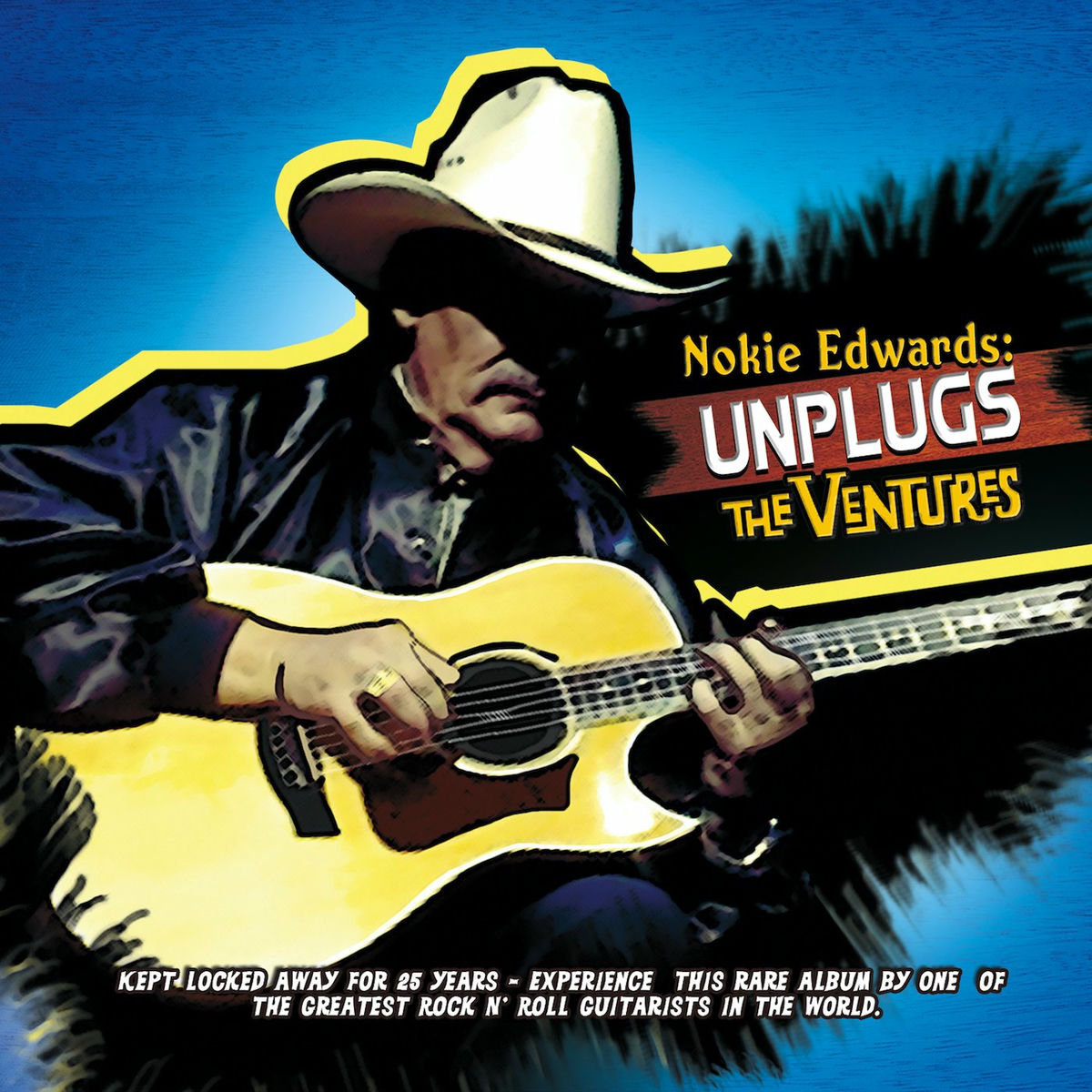 Album cover of Unplugs The Ventures