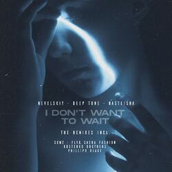 Cover of I Don't Want to Wait
