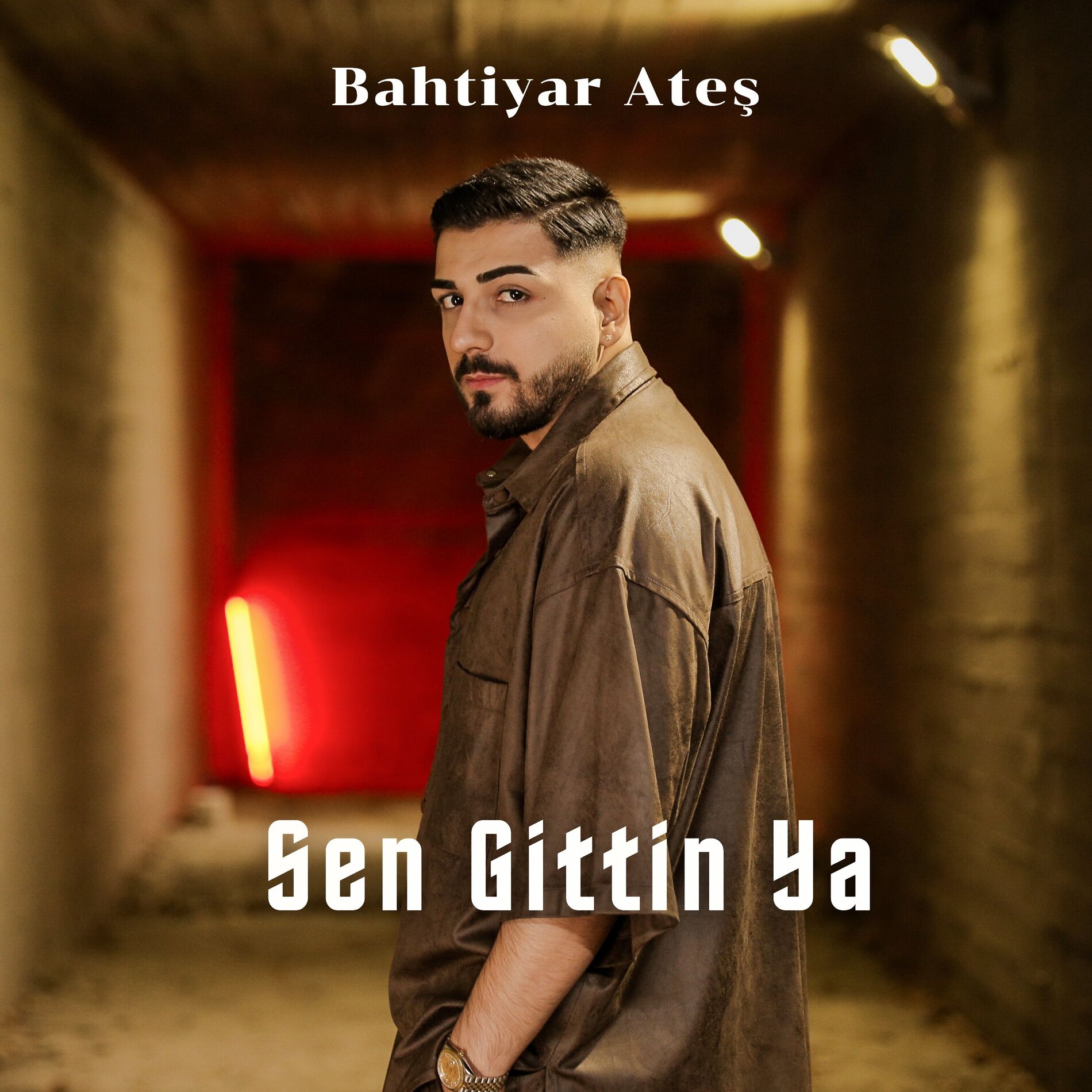 Album cover of SEN GİTTİN YA