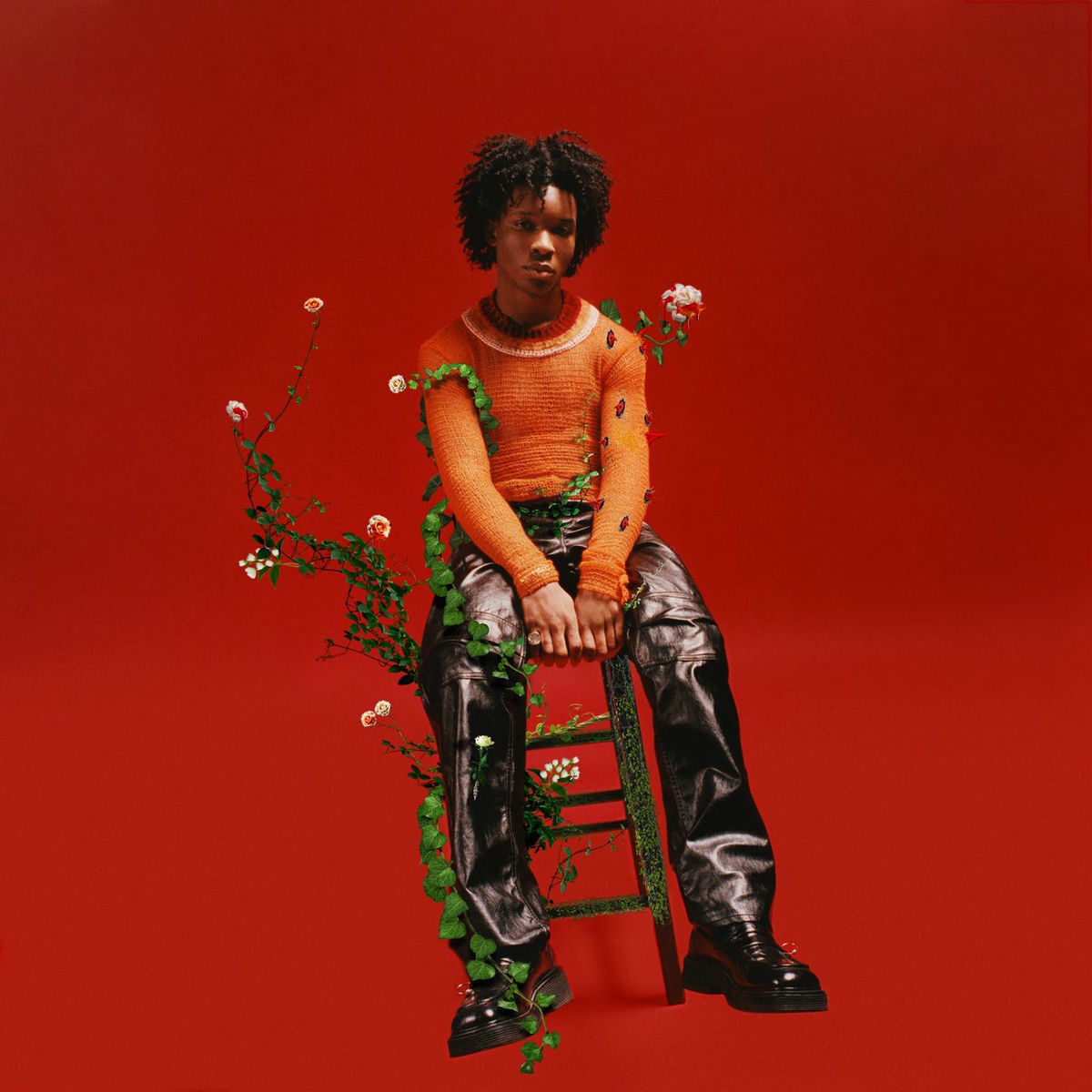 Album cover of Petals to Thorns