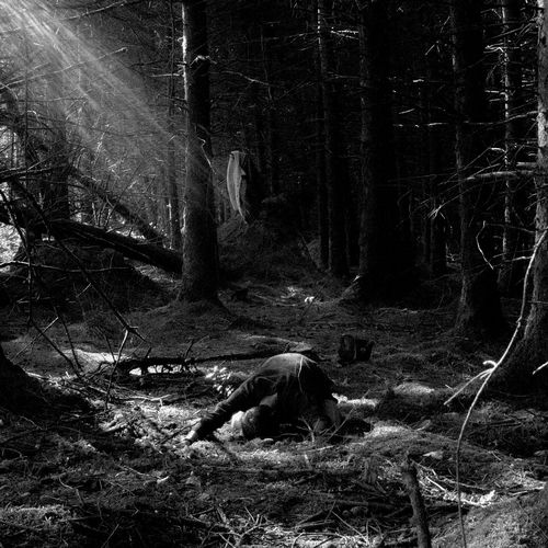 La foi gelée artwork