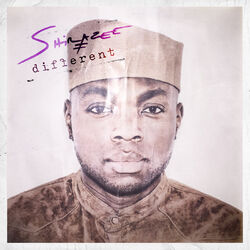 Cover of Different