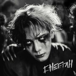 Cover of Cheetah