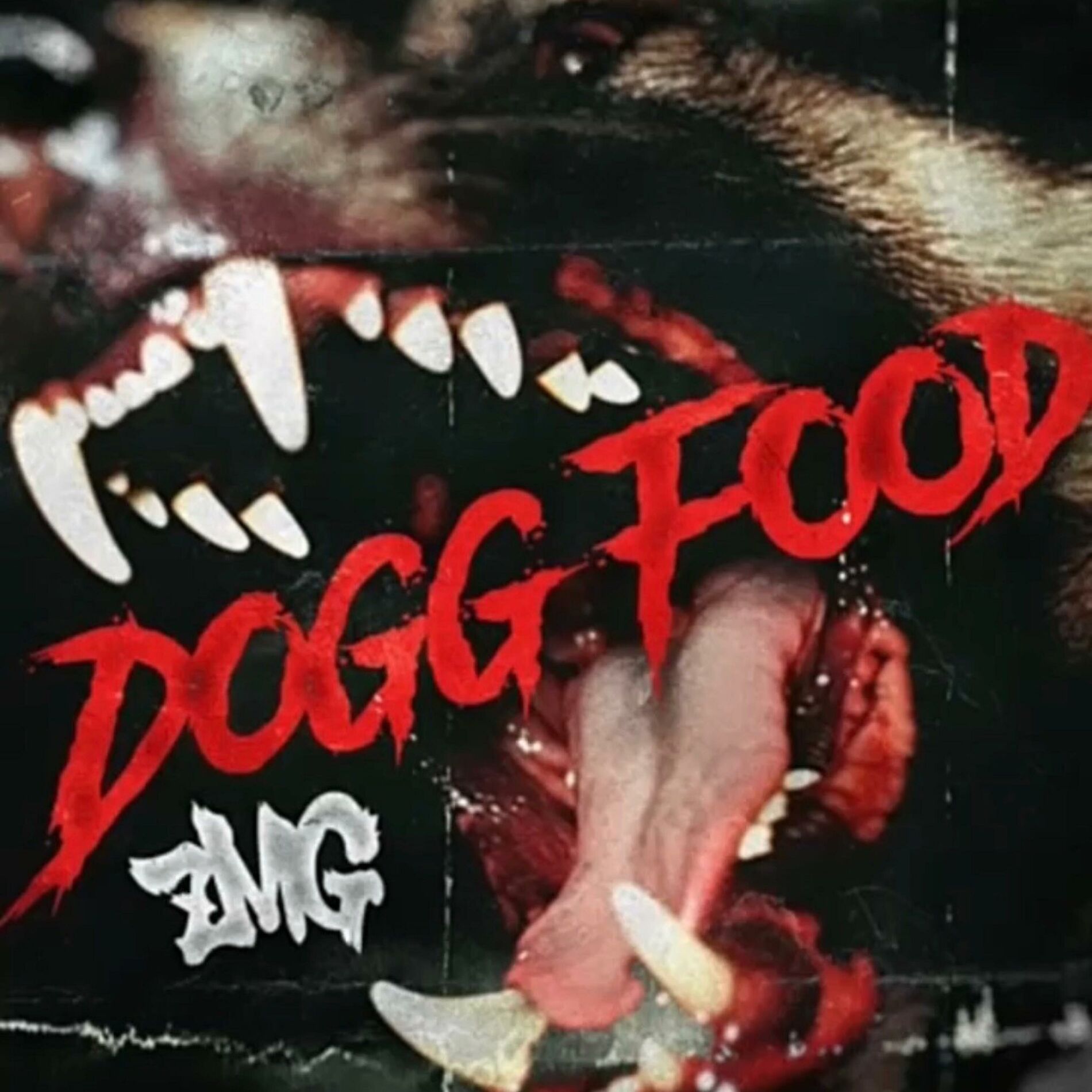 Album cover of Dogg Food (feat. Illecism)