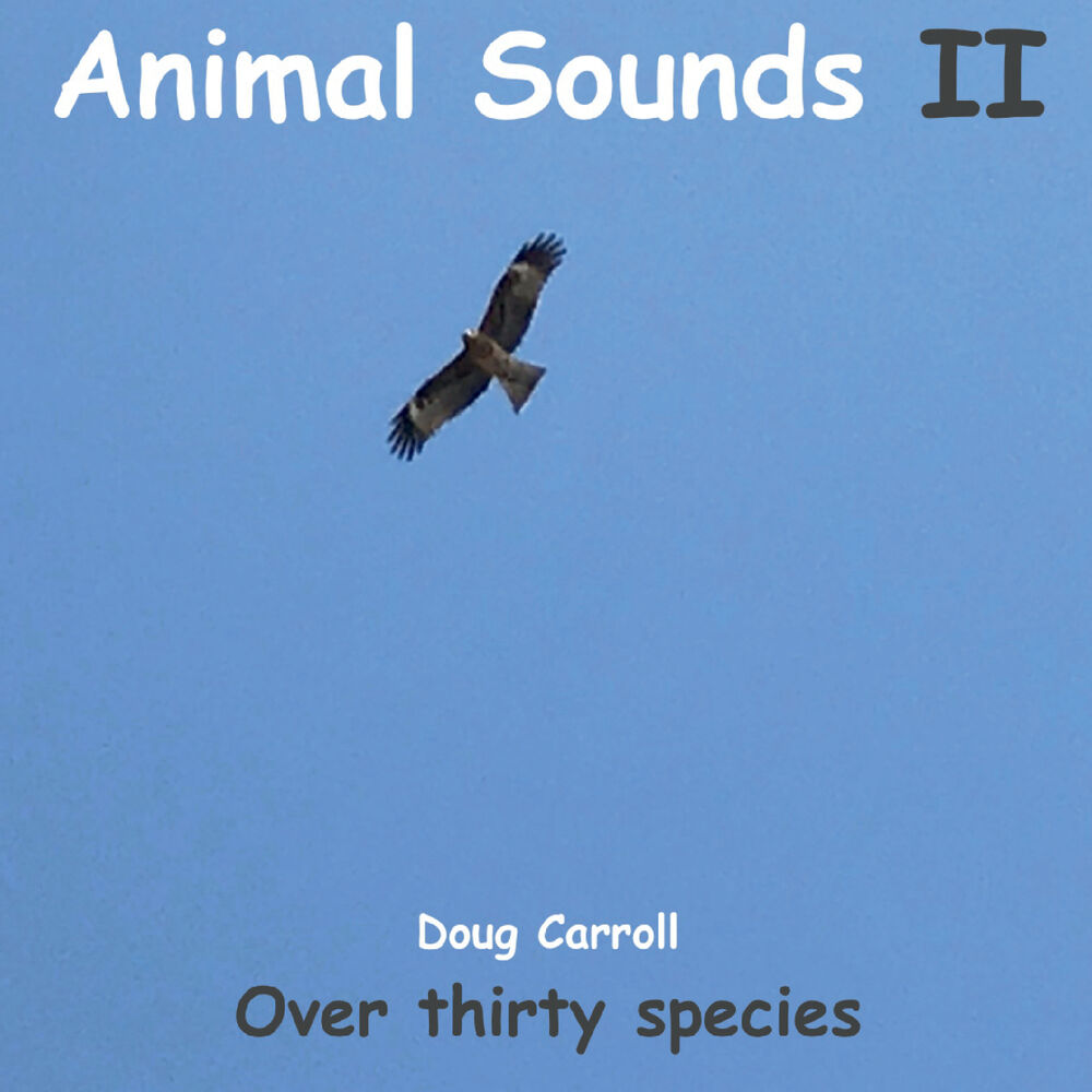 Picture of Animal Sounds II