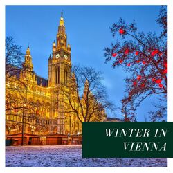 Cover of Winter in Vienna