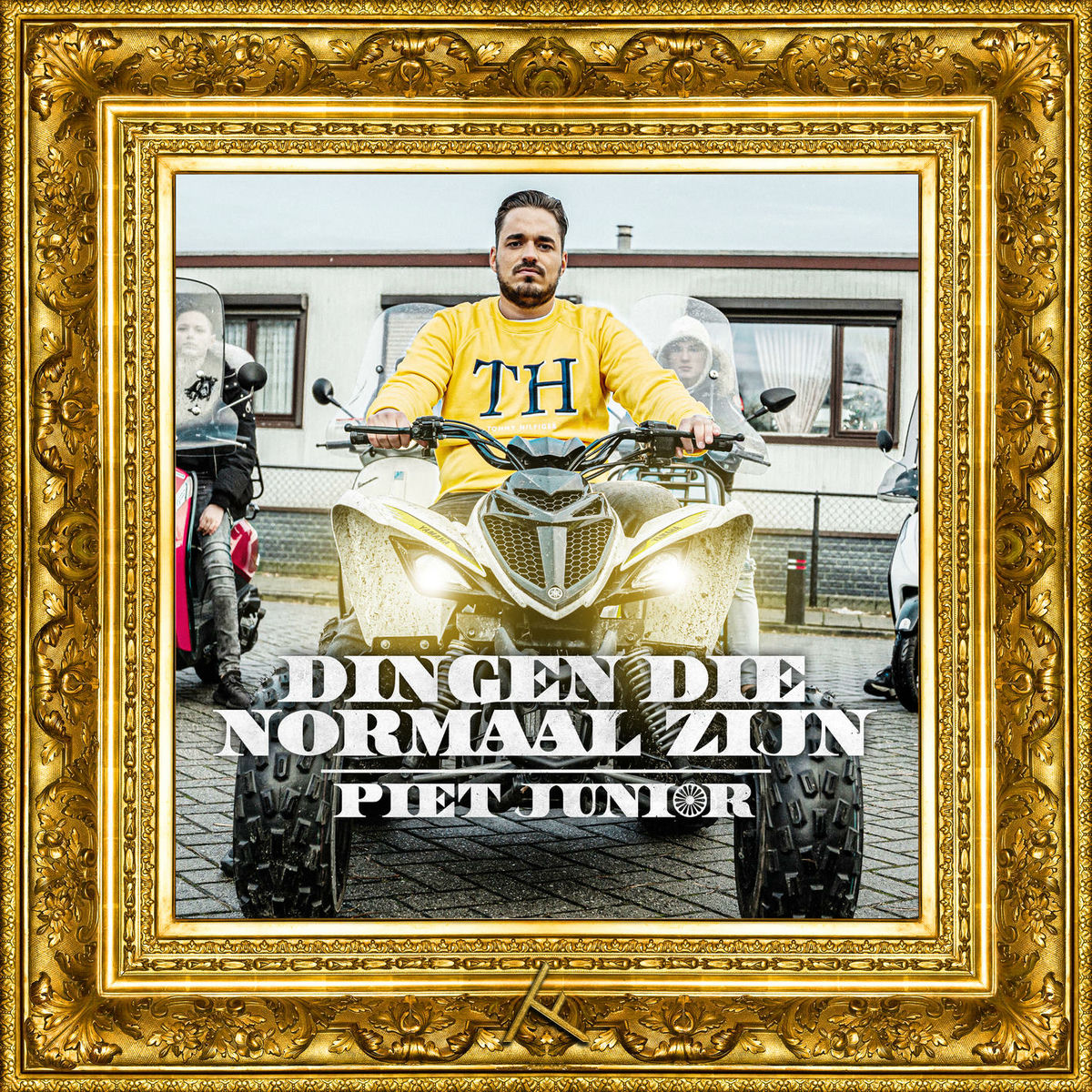 Album cover of Dingen die normaal zijn