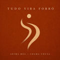 Tudo Vira Forr&oacute;