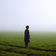 Please Come Back To Me by Adam Naas album cover