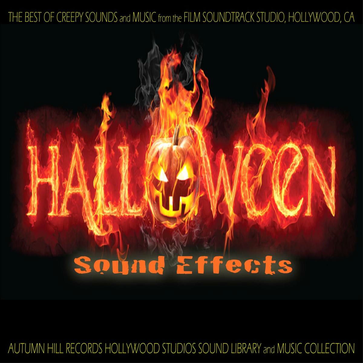 Album cover of Halloween Sound Effects