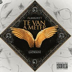 Cover of Te Van a Meter