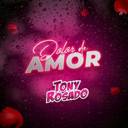 Cover of Dolor de Amor